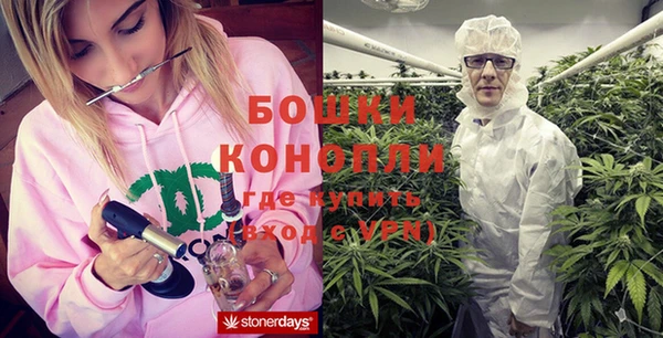 крисы Строитель