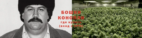 крисы Строитель