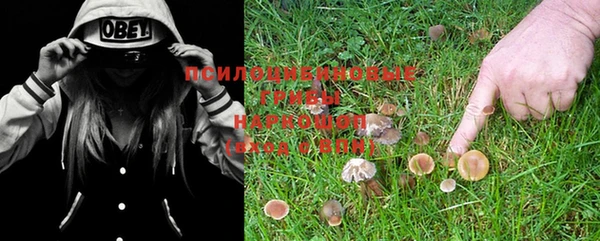 стафф Ступино