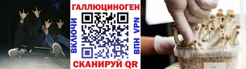 Купить где  Лихославль  Галлюциногенные грибы Psilocybe 
